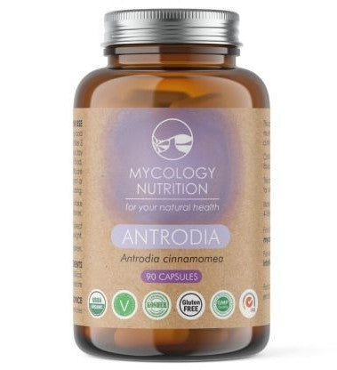 Antrodia Orgânico 450mg 90 Cápsulas