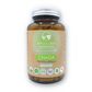 Chaga Orgánico 450mg 90 Cápsulas